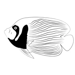 Emperor Angel Fish Adult Free Coloring Page for Kids