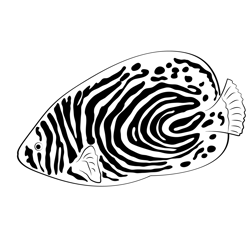 Emperor Angel Fish Down See Free Coloring Page for Kids