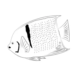 King Angelfish Free Coloring Page for Kids