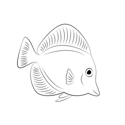 Lemonpeel Angelfish Free Coloring Page for Kids
