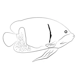 Majestic Angel Fish Free Coloring Page for Kids