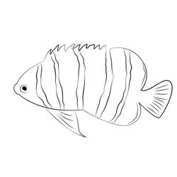 Peppermint Angel Fish Free Coloring Page for Kids