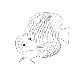 Royal Angel Fish Face Free Coloring Page for Kids