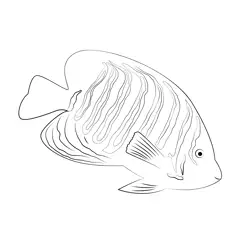 Royal Angel Fish Free Coloring Page for Kids