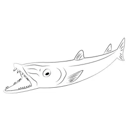 Barracuda Open Mouth Free Coloring Page for Kids