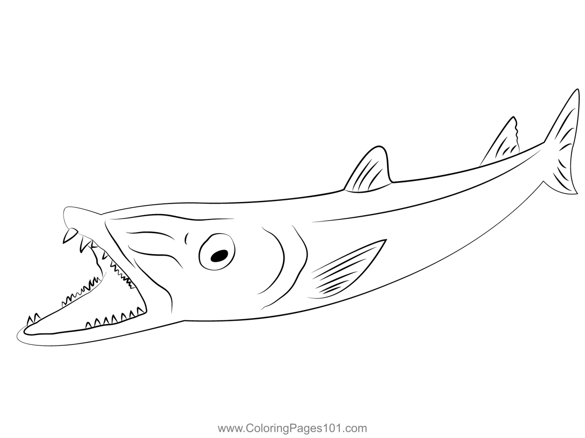 Barracuda Fish Coloring Page Coloring - Barracuda Open Mouth 