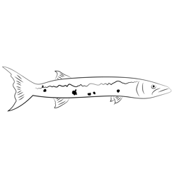 Barracudal Free Coloring Page for Kids