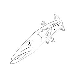 Barracudas Down Free Coloring Page for Kids