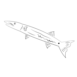 Griat Barracuda Free Coloring Page for Kids