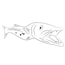 Richie Lott Barracuda Free Coloring Page for Kids