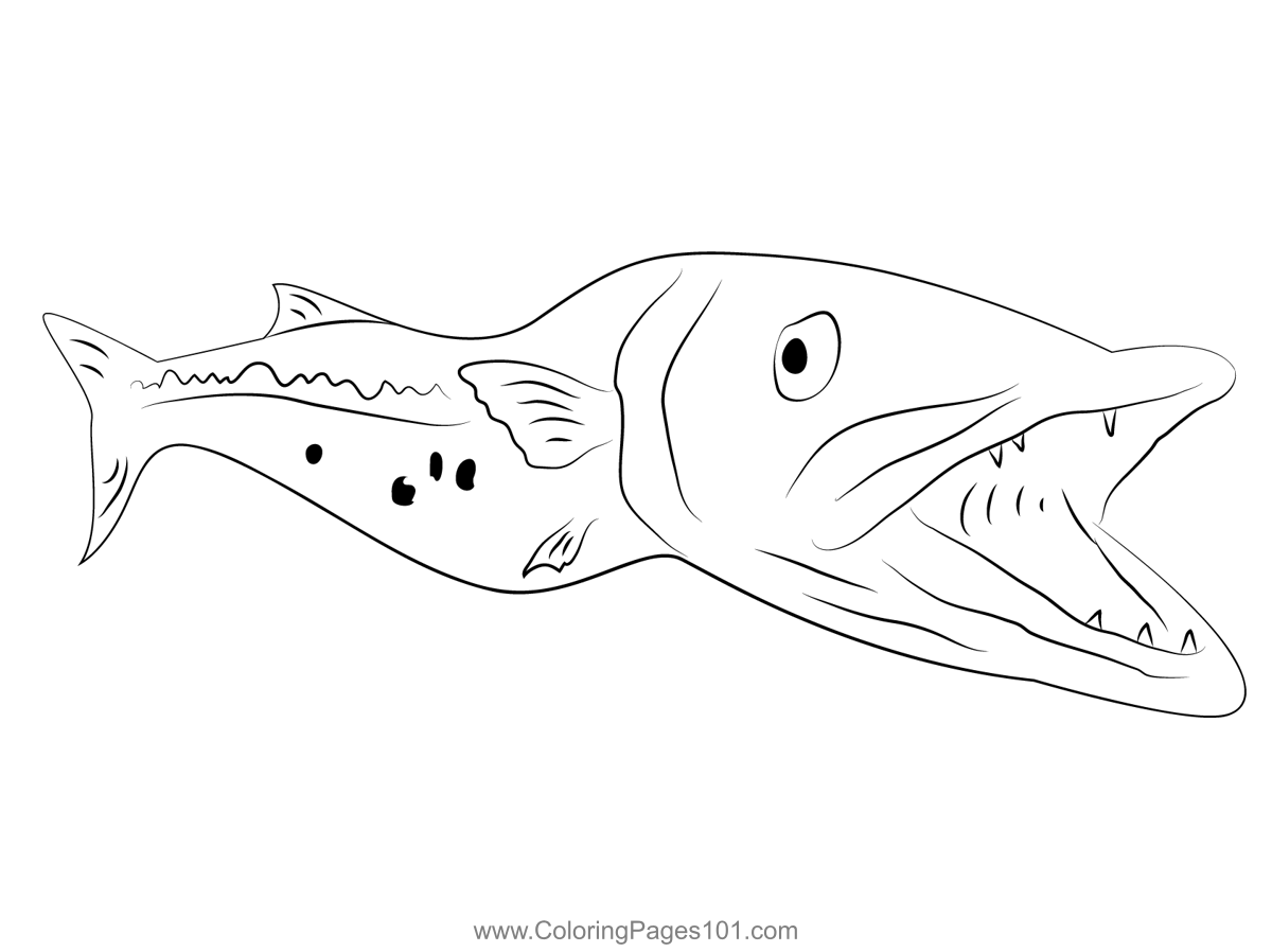 Richie Lott Barracuda Coloring - Richie Lott Barracuda 