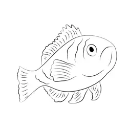 Basslet Free Coloring Page for Kids