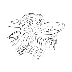 Betta Crown Male Red Free Coloring Page for Kids