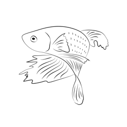 Betta Fish Look Back Free Coloring Page for Kids
