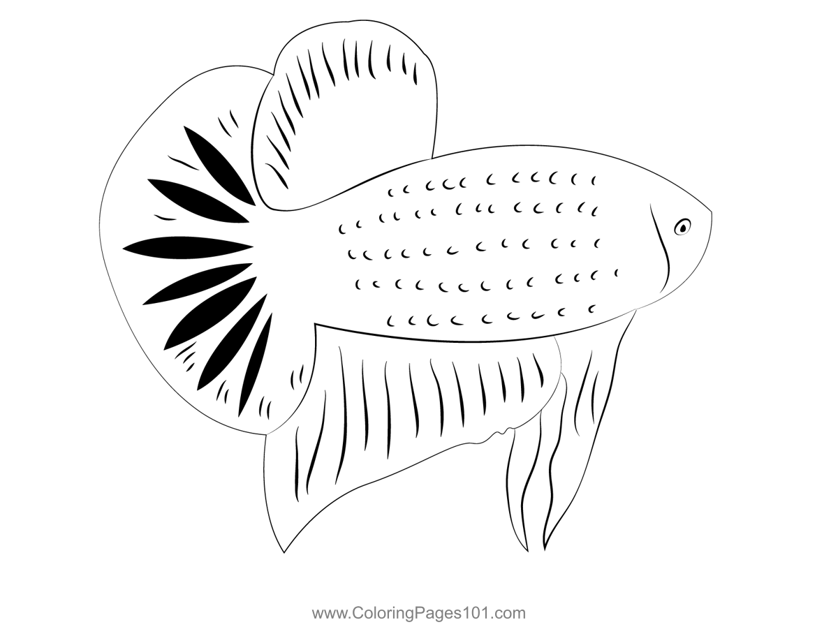 Betta Coloring Page for Kids - Betta 