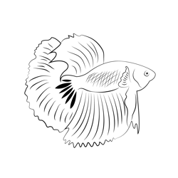 Blue And Black Betta Fish Free Coloring Page for Kids