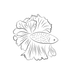 Blue And Orange Betta Fish Free Coloring Page for Kids