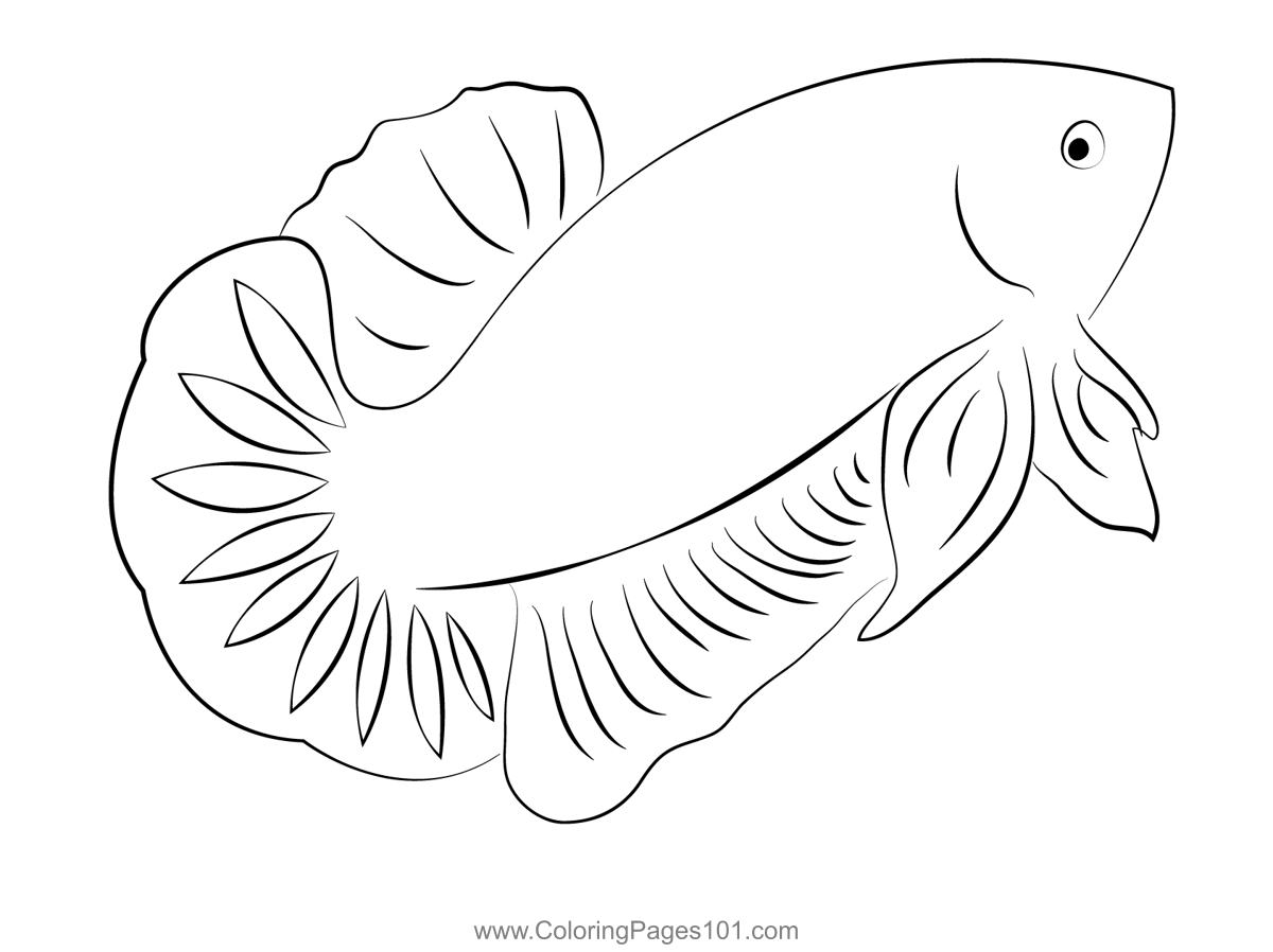 Dragon Betta Fish Coloring Page for Kids - Free Betta fishes Printable