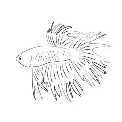 Grey Betta Fish Free Coloring Page for Kids