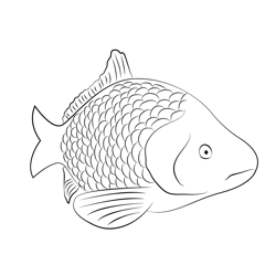 Carp Face Free Coloring Page for Kids