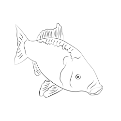 Carp Green Fishing Free Coloring Page for Kids