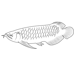 Adolfo's Catfish Free Coloring Page for Kids