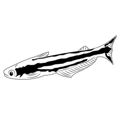 Africano Glass Catfish Free Coloring Page for Kids