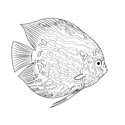 Bronze Corydoras Free Coloring Page for Kids
