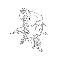 Corydoras Catfish Free Coloring Page for Kids