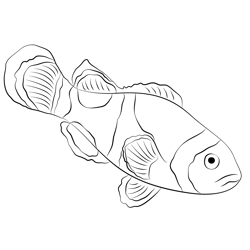 Animals Clownfish Slide Free Coloring Page for Kids