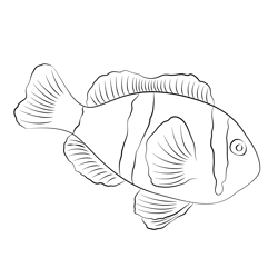 Clarkii Clown Fish Free Coloring Page for Kids