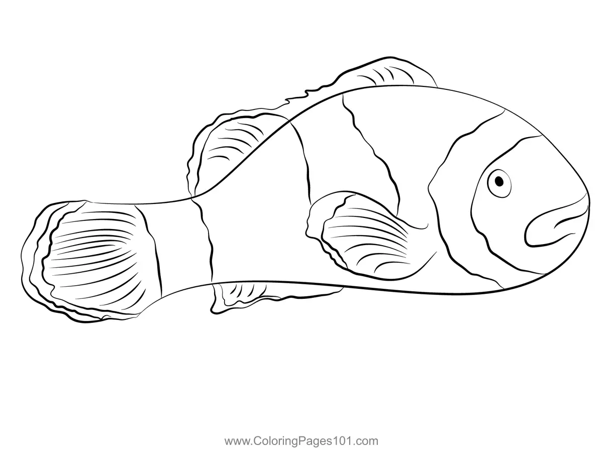 Clown Fish Aka Nemo Coloring Page for Kids - Free Clownfishes Printable