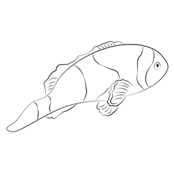 Clown Fish Going Free Coloring Page for Kids