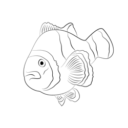 Clown Fish Word And Phrase Free Coloring Page for Kids