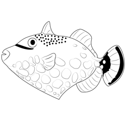 Clown Trigger Fish Free Coloring Page for Kids