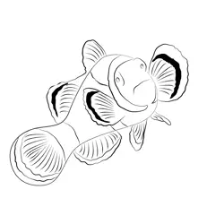 Marine Life Clown Fish Free Coloring Page for Kids