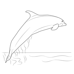 Amazon River Dolphin Free Coloring Page for Kids