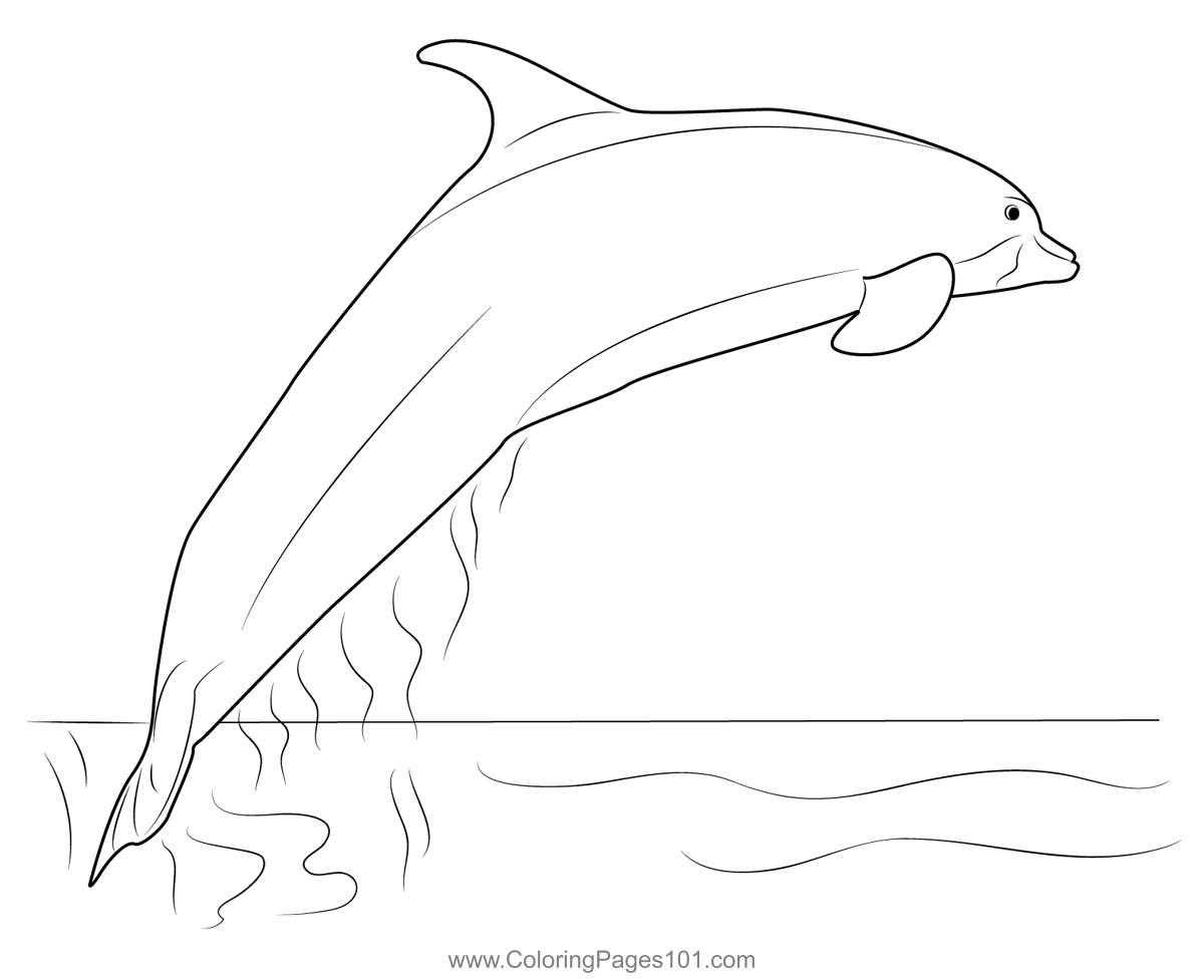 Amazon River Dolphin Coloring Page for Kids - Free Dolphins Printable ...