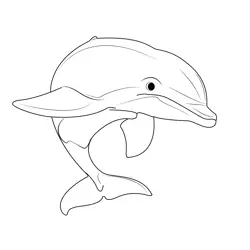 Beautiful Dolphins Free Coloring Page for Kids