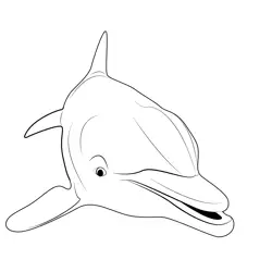 Close Up Of Dolphin Free Coloring Page for Kids