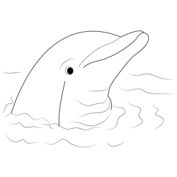 Cute Dolphin Free Coloring Page for Kids