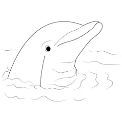 Cute Dolphin Free Coloring Page for Kids