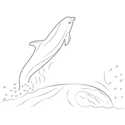 Dolphin Jumping Out Of The Water Free Coloring Page for Kids