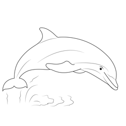 Dolphin Show Free Coloring Page for Kids