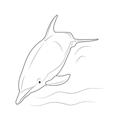 Dolphin Swimming Free Coloring Page for Kids