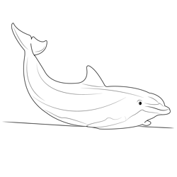 Dolphin Free Coloring Page for Kids