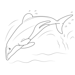 Hector Dolphin Free Coloring Page for Kids
