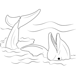 Lazy Dolphin Free Coloring Page for Kids