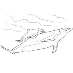 Mother And Baby Dolphin Free Coloring Page for Kids