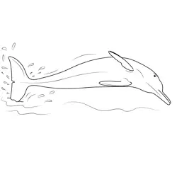 Pink Dolphin Free Coloring Page for Kids